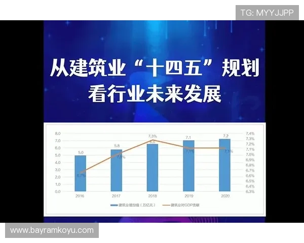 斗球体育中国有限公司的企业文化与管理理念对行业发展的示范作用及未来发展方向分析