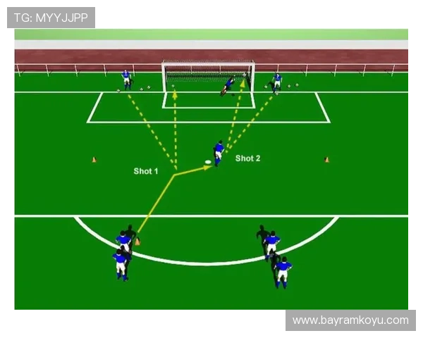 斗球网在体育训练中的重要作用与实用技巧